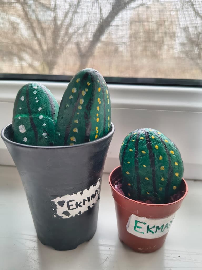 EkMan Cacti